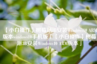【小白操作】树莓派3B安装Windows10 ARM版本windows10手机版「【小白操作】树莓派3B安装Windows10 ARM版本」