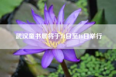 武汉童书展将于14日至16日举行