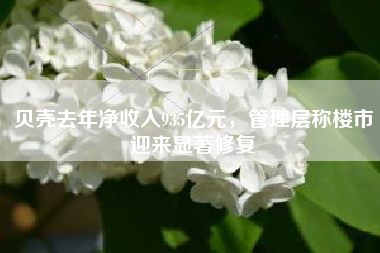 贝壳去年净收入935亿元，管理层称楼市迎来显著修复
