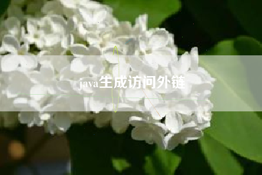 java生成访问外链 java生成访问外链